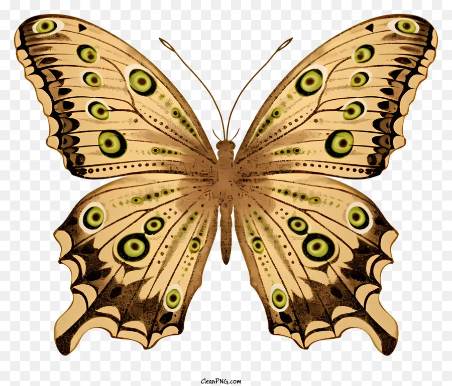 Mẫu cánh cơ thể màu vàng của con bướm màu nâu Sản phẩm hữu cơ - Bướm lớn màu nâu với các mẫu cánh phức tạp phù hợp với tài liệu quảng cáo hoặc giáo dục liên quan đến tự nhiên