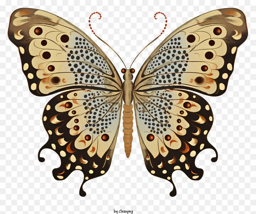 Bướm bướm bướm bướm với những đốm bướm đuôi dài đuôi dài mắt - Bướm nâu với các đốm đen và cam