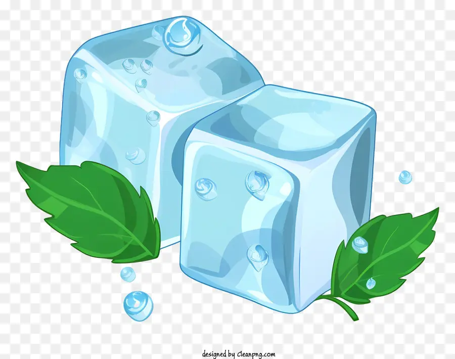 grünes Blatt - Stillleben Bild von Eiswürfeln mit Wassertropfen und einem grünen Blatt