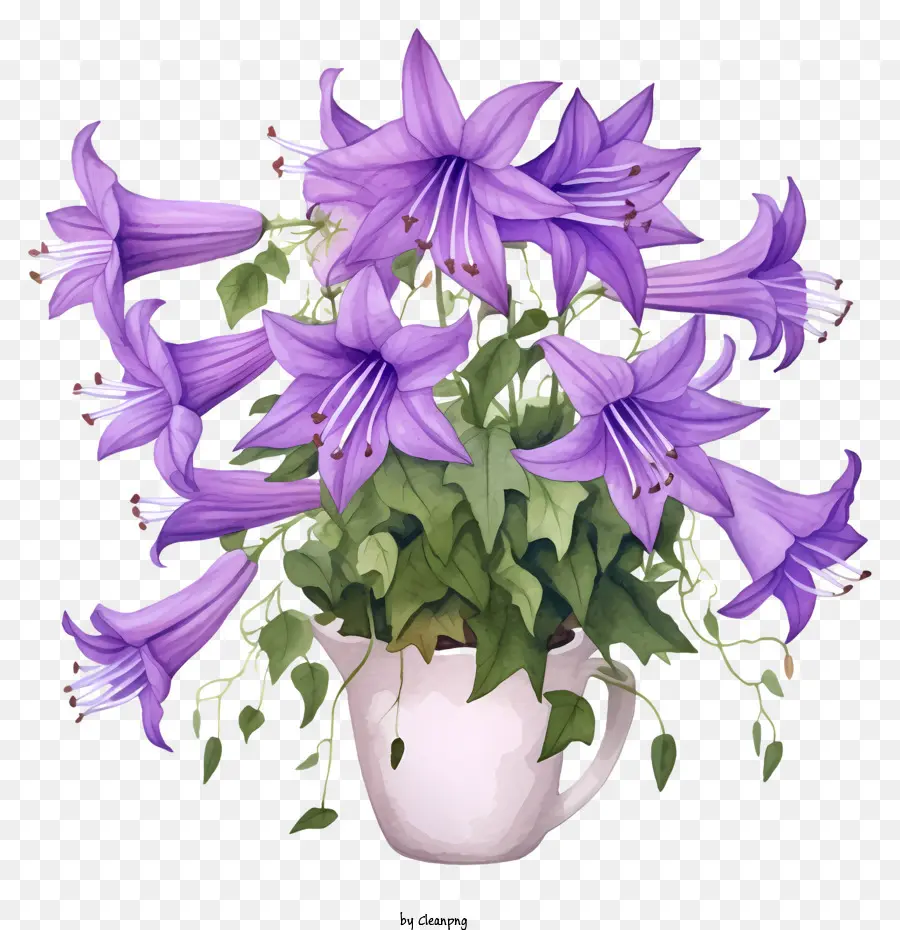 Lila Blumen Nacht blühen Cereus Mondblumen Vase of Flowers Caskading Arrangement - Bild: Elegante Vase der kaskadierenden lila Mondblumen