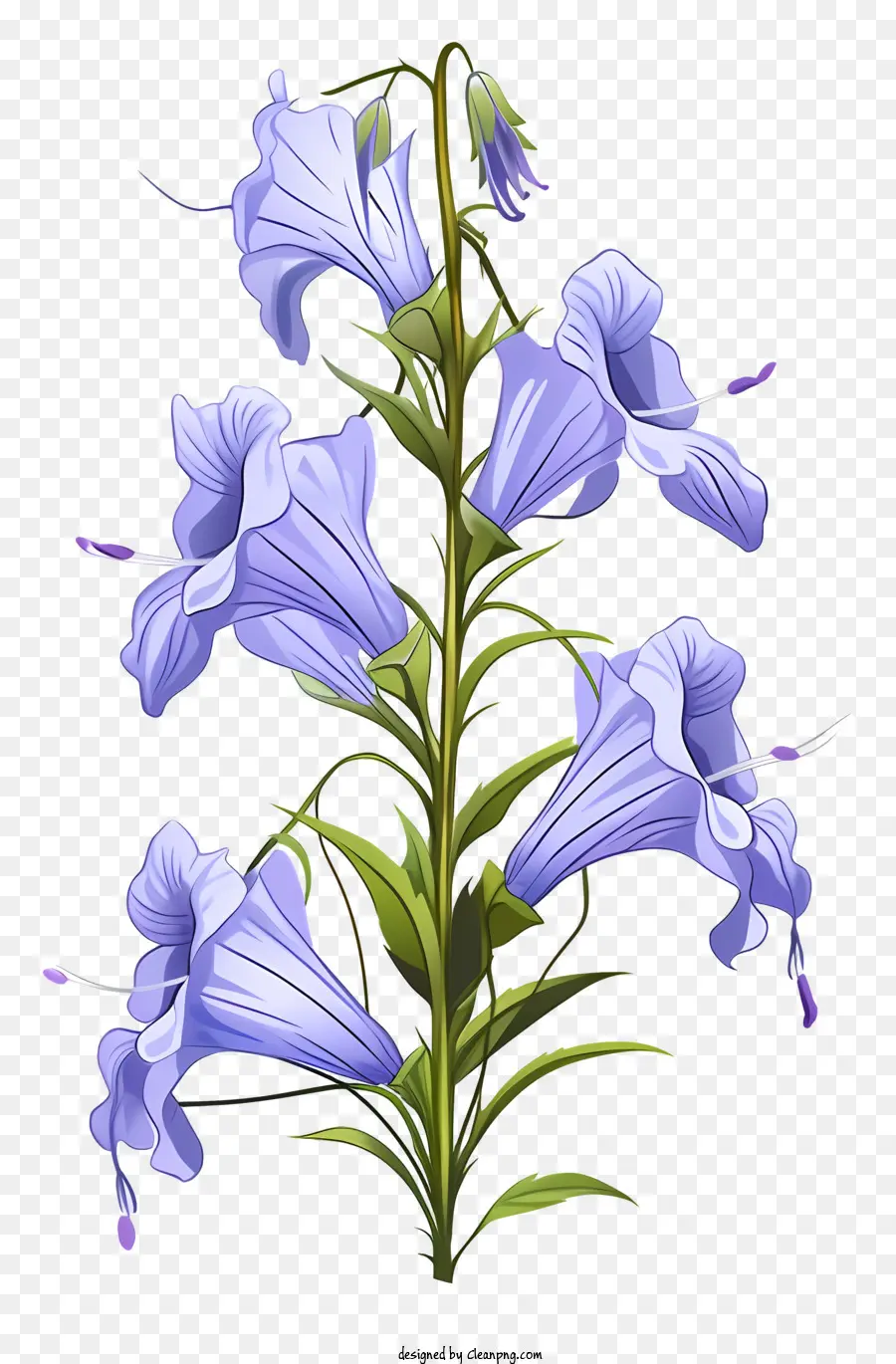 bluebell wildblumenblume blau blätter dunkelgrüne blätterblätter - Realistisches Bild von Bluebellblume mit blauen Blütenblättern