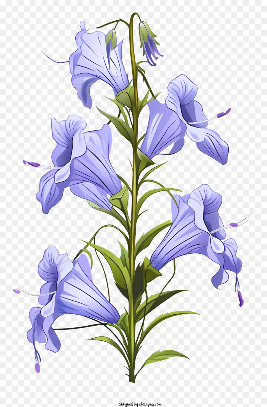 Bluebell Flower With Blue Petals