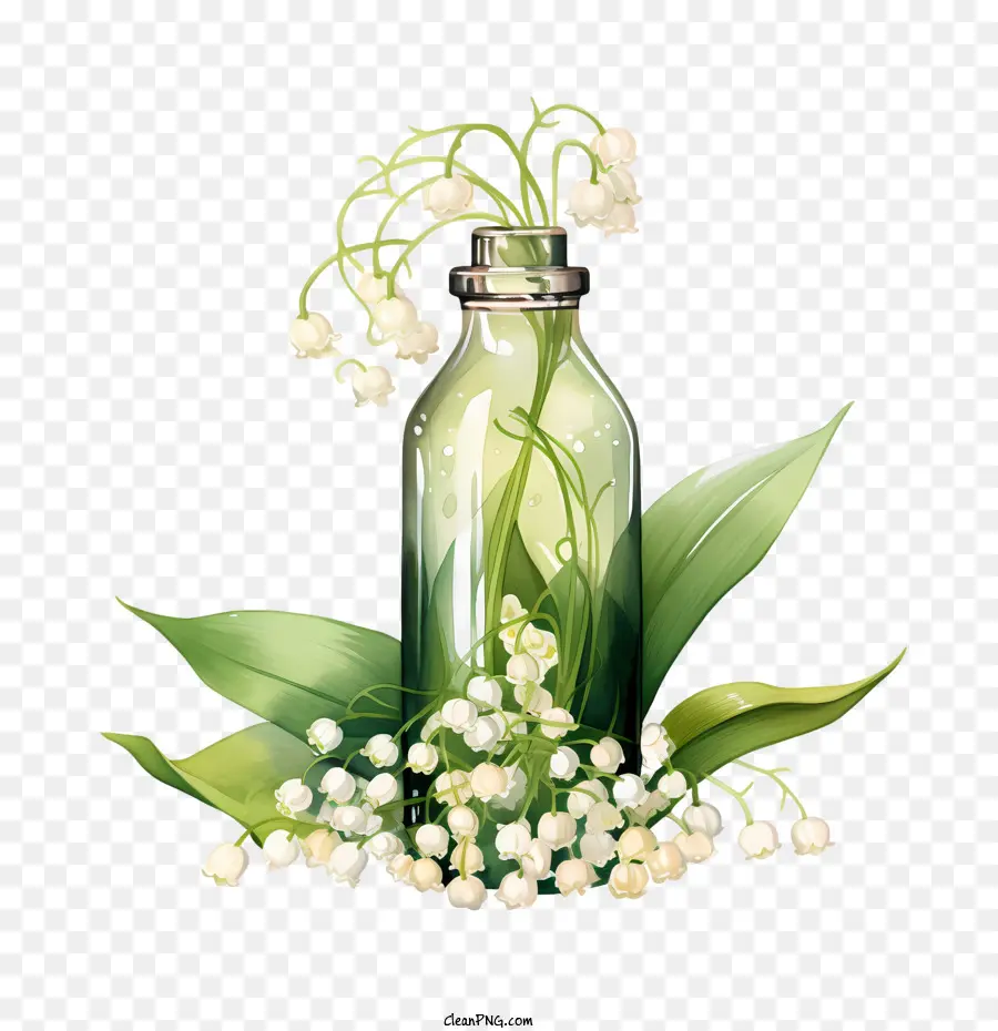 Lilie der Tallilie des Talfummglasflaschens Blumen - 