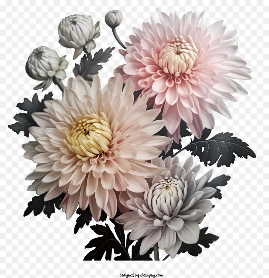 Chrysanthemums Flowers Vase Pink and White Floral Dispagy - Tre crisantemi bianchi e rosa in un vaso