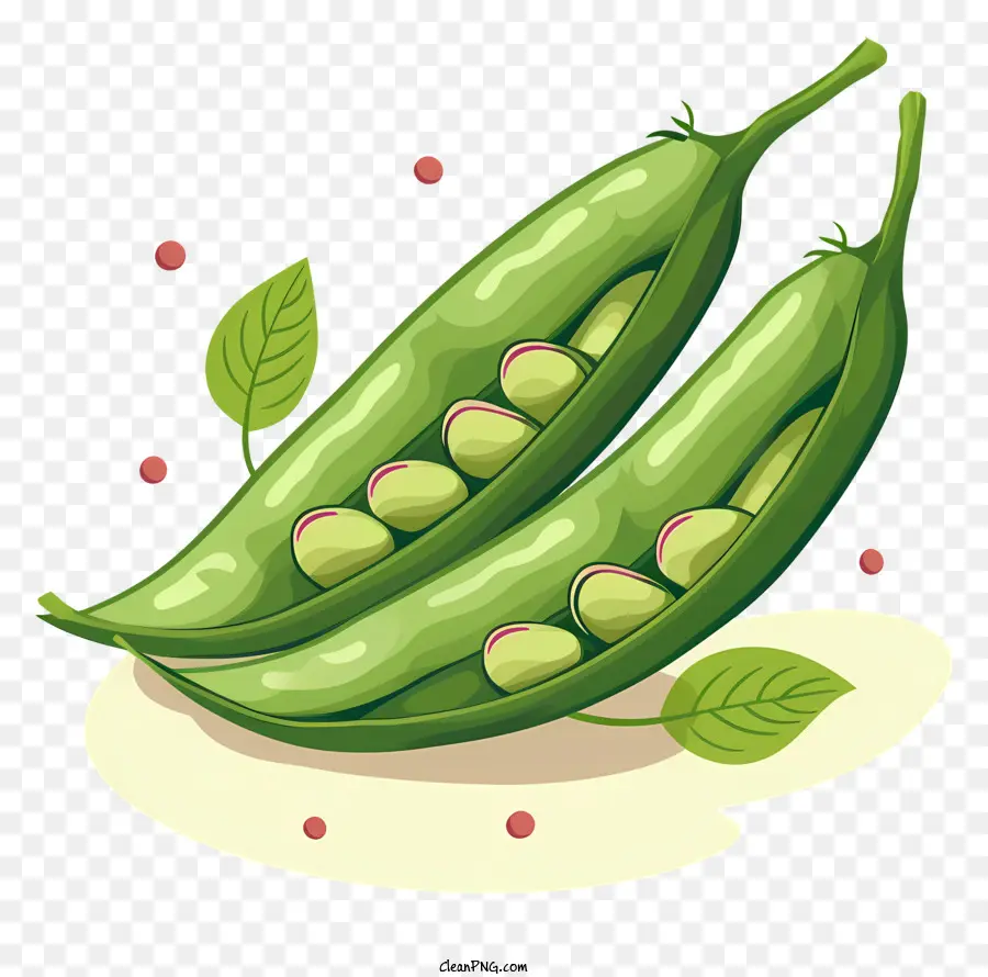 peas seeds fresh peas pea pods green peas