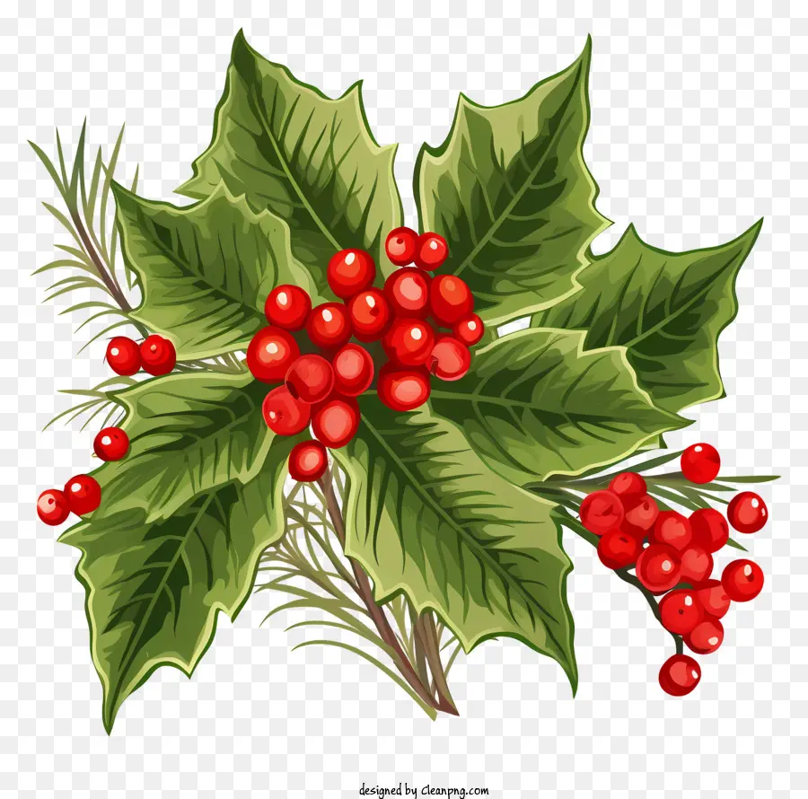 Weihnachtsdekoration - Festlicher Holly Busch mit roten saftigen Beeren