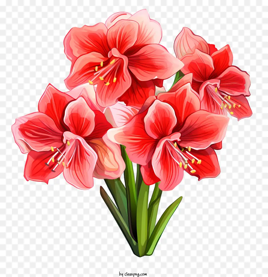 bouquet di fiori - 