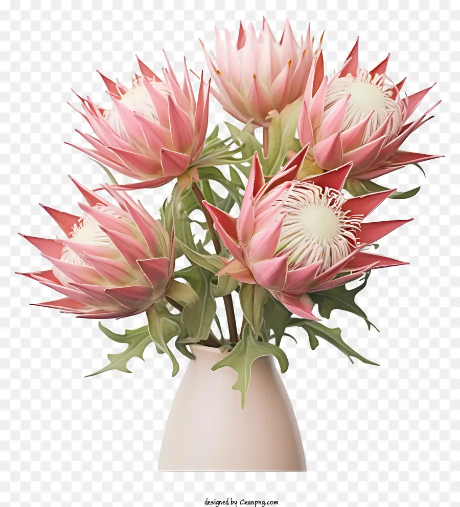3d rendering pink flowers proteas vase spiky shape
