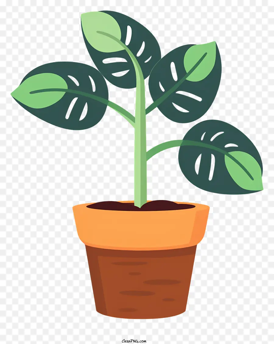 Pflanzentopf Blatt Pflanze braune Topfgrünblätter Innenpflanze - Brauner Topf mit blättern grüner Pflanze im Inneren