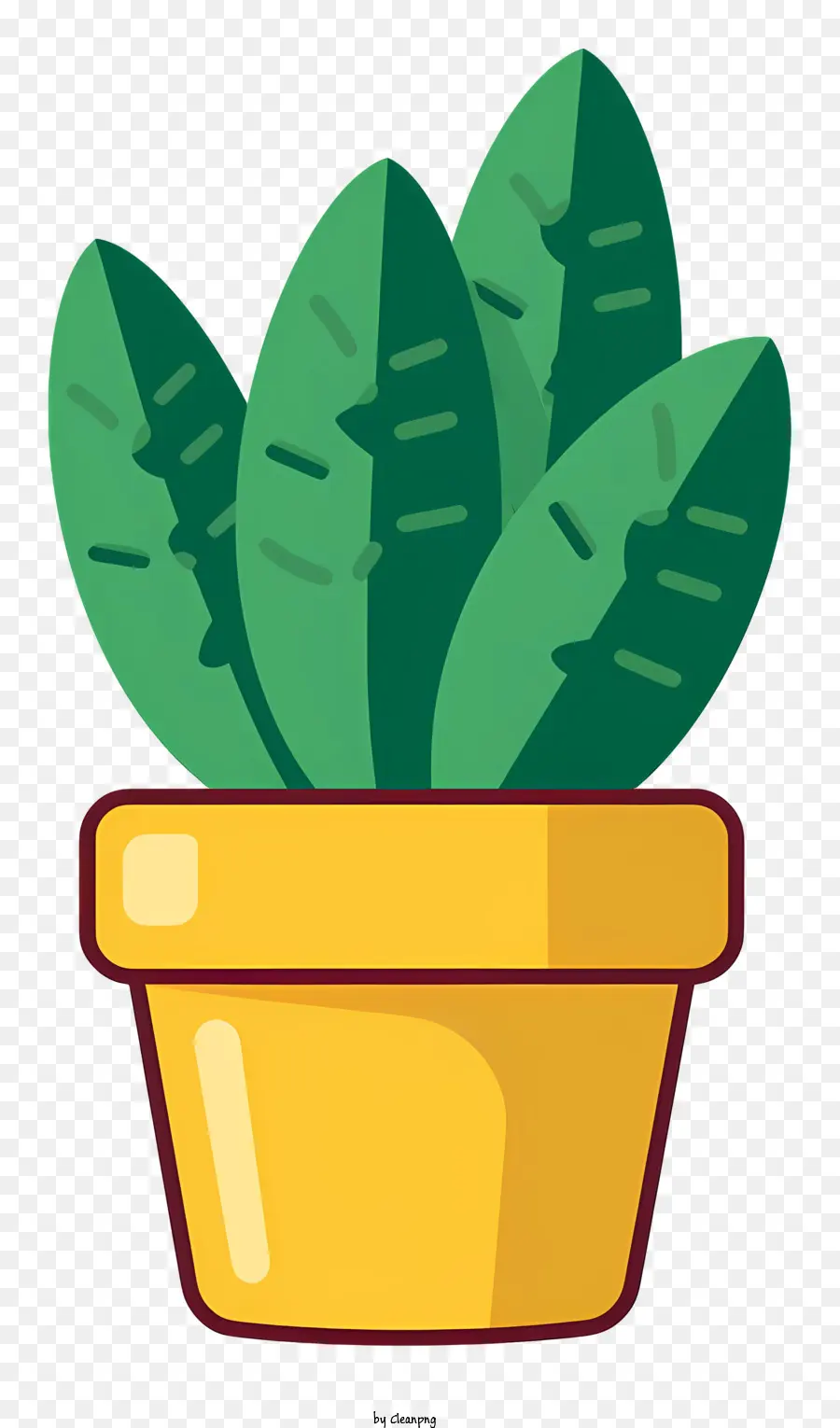 piante foglie verde ceramica foglie gialle pianta - Immagine della pianta in vaso in ceramica con 2 foglie