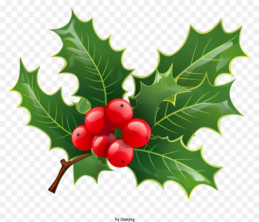 Holly Branch Red Berries Christmas Holiday Season of Good Luck Simbolo di prosperità - Holly Branch che simboleggia il Natale, buona fortuna, prosperità