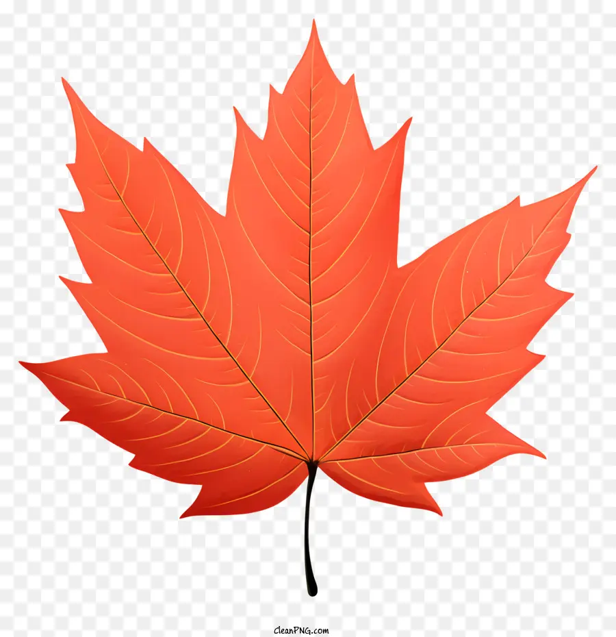 red leaf paper leaf smooth surface curved leaf shiny leaf