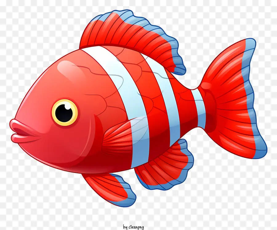 Red Fish White sọc mắt to mở miệng cá ngạc nhiên - Cá đỏ thực tế với sọc trắng bơi