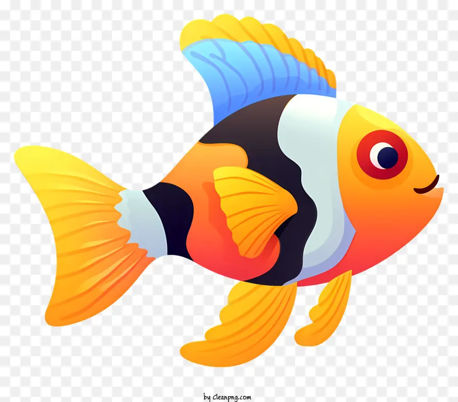 pesce colorato bianco nero e blu strisce grandi occhi blu grandi pancia rotonda - Pesce colorato con strisce bianche, nere e blu
