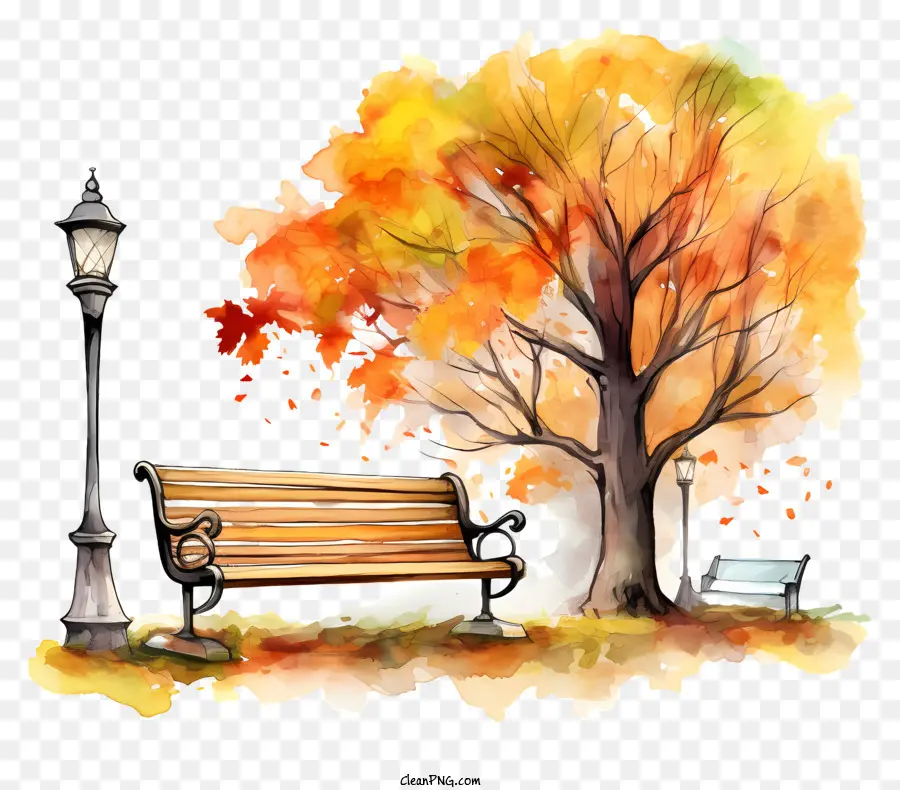 trái cam - Cảnh công viên mùa thu với cây, băng ghế và cột đèn