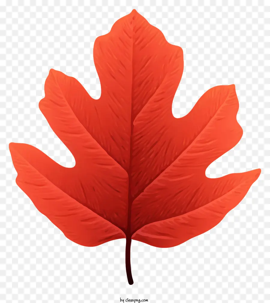 leaf tree red color dark background realistic features