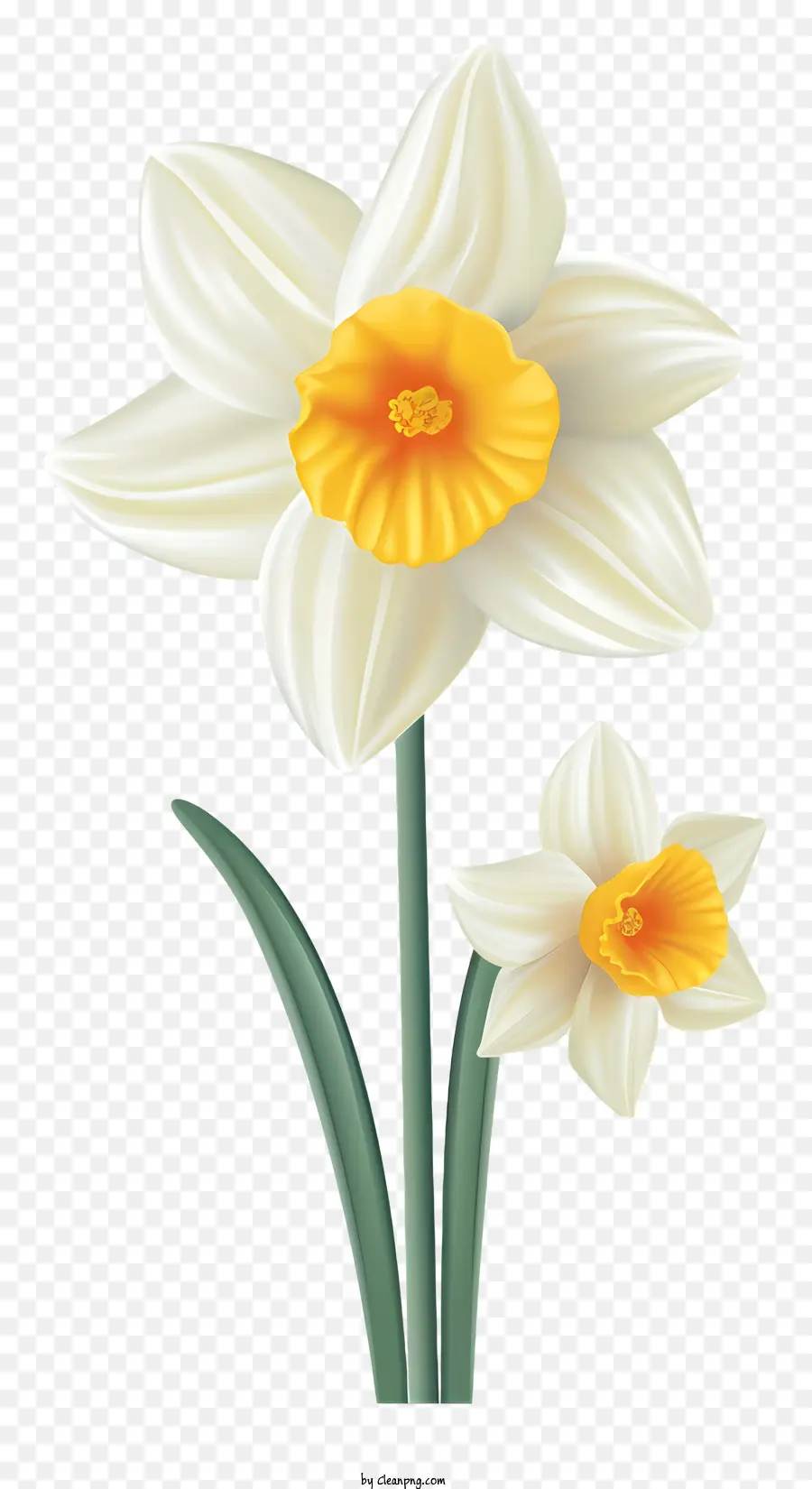 gelbe Blume - Blühende weiße Blume mit gelbem Mittelpunkt und grünem Stiel