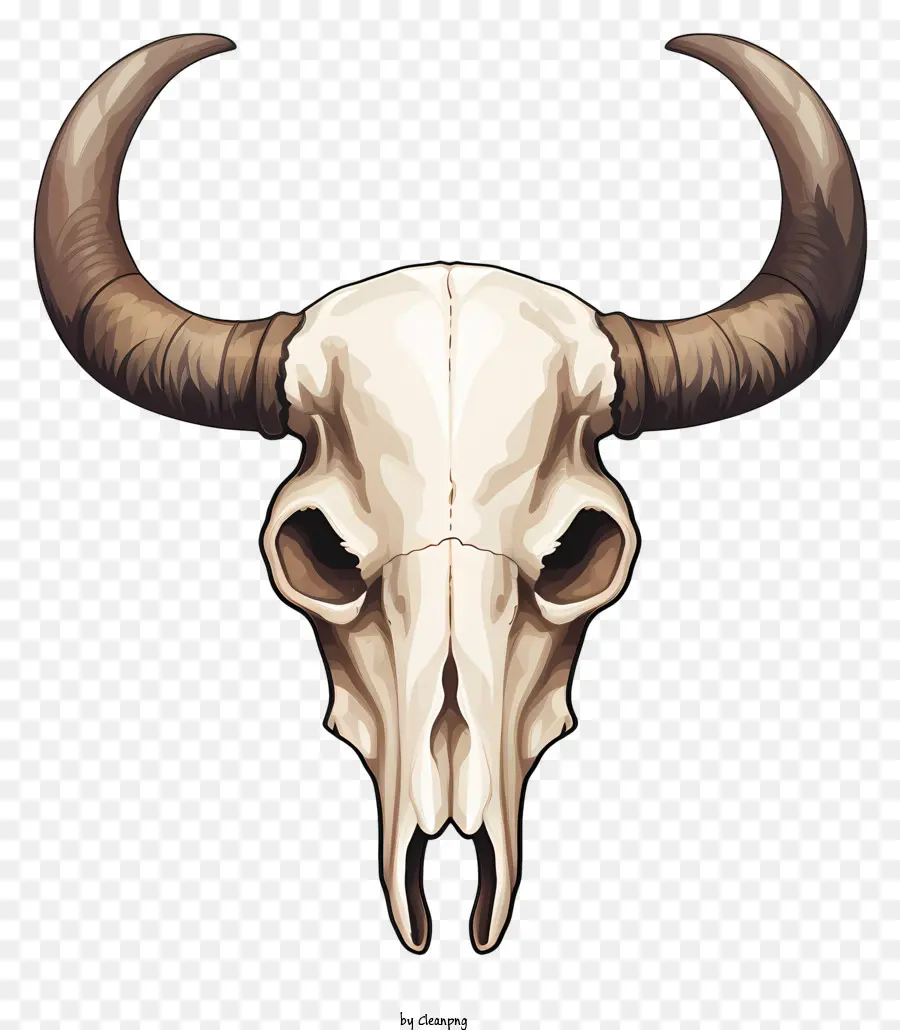 corna del cranio marrone bianco spalancata - Skull bianco e marrone con corna curve