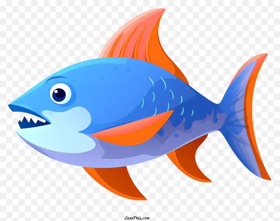 colorful fish orange and blue fish big mouth fish sharp teeth fish large body fish