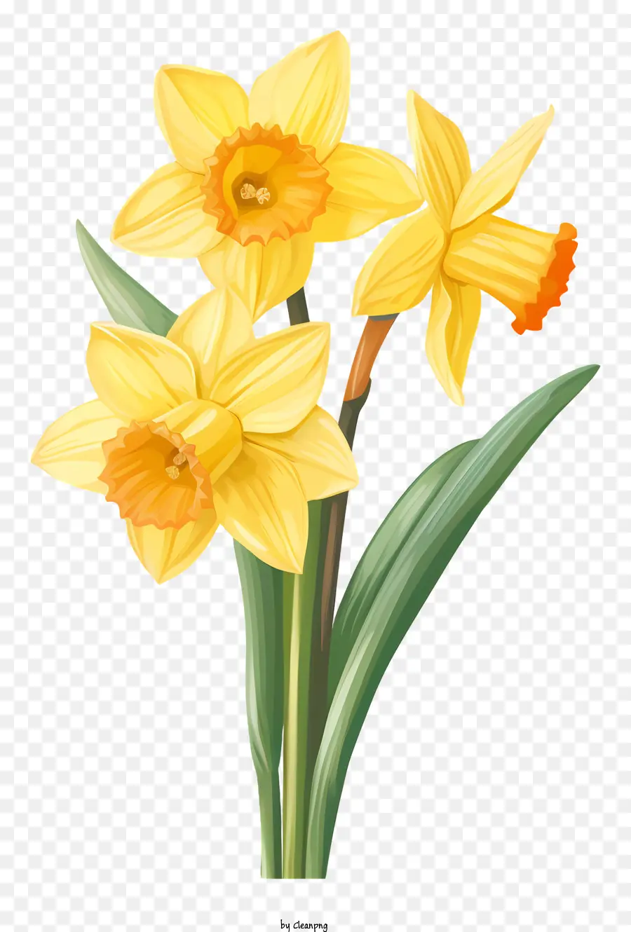 la disposizione dei fiori - Narcisi in vaso con petali gialli