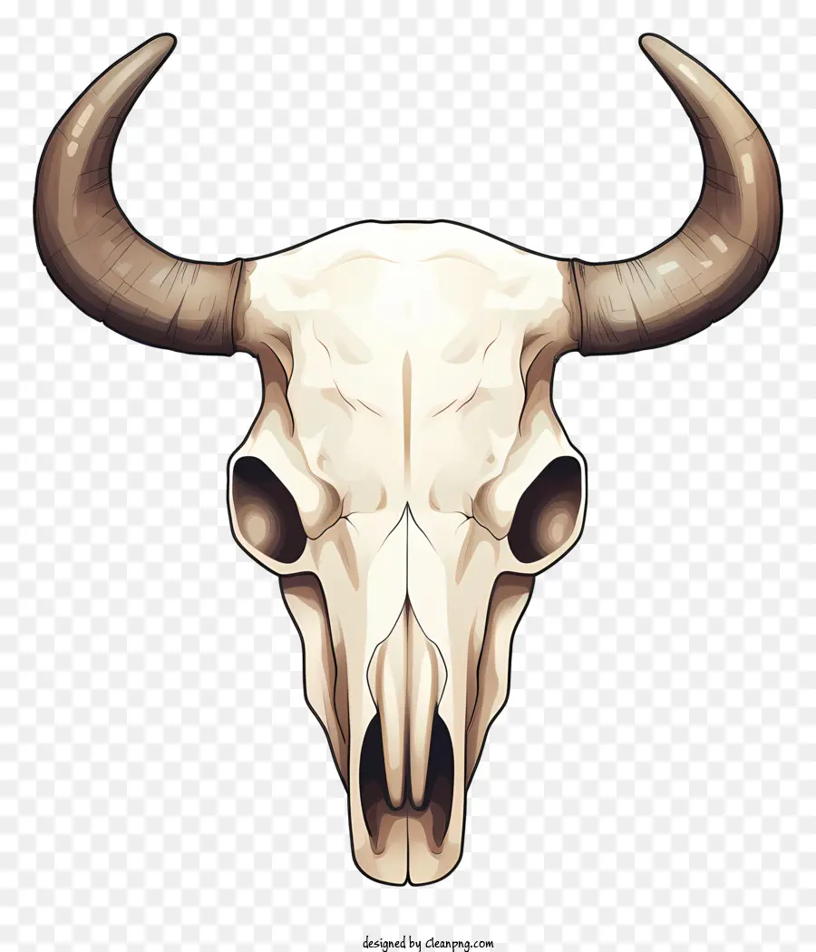 white buffalo skull curved horns closed eyes open mouth calm