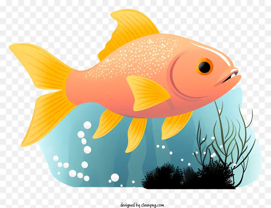 Cá nước cam và đuôi trắng trong miệng mở - Cá thực tế trong nước được bao quanh bởi thực vật
