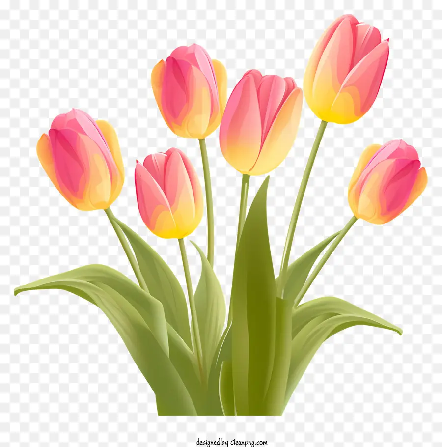 hoa mùa xuân - Bóng hoa tulip màu hồng và vàng trong bình
