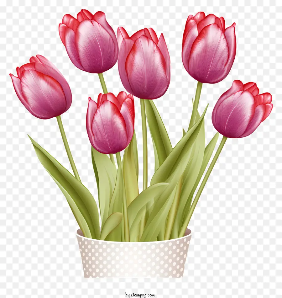 Vase Pink Tulips Cluster Stems White Polka Dot - Hoa tulip màu hồng trong bình có chấm bi