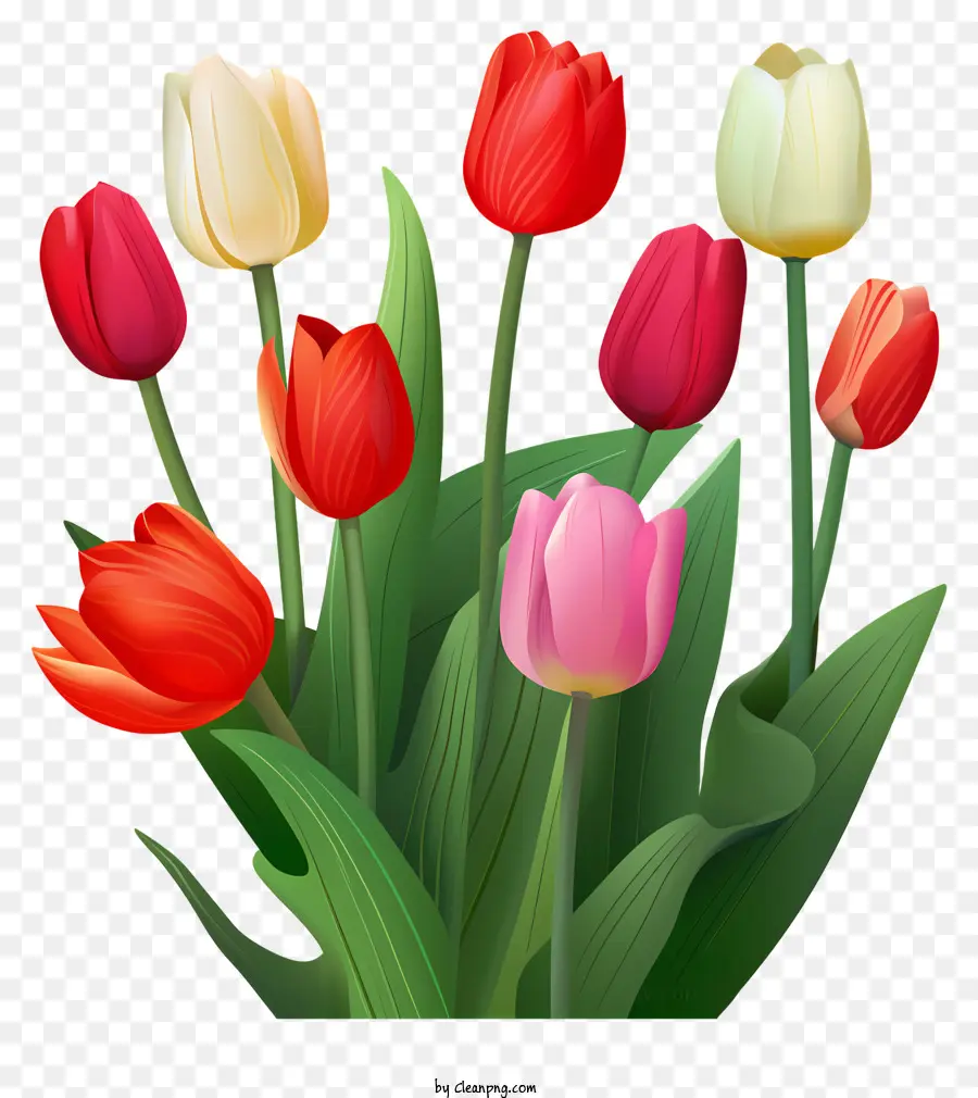 hoa mùa xuân - Bó hoa tulip đầy màu sắc trong một chiếc bình đen