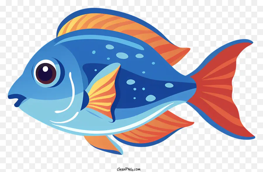 Cartunato di pesce blu e arancione pesce largo pesce pesce grande pesce pesce nuoto - Pesce dei cartoni animati in acqua, adatto ai bambini