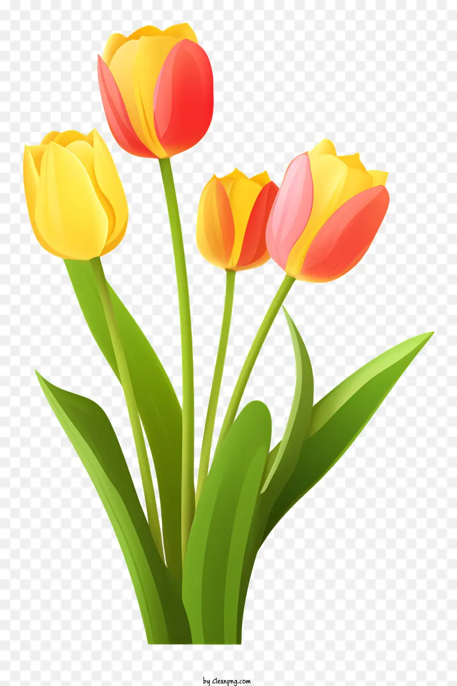 Bouquet hoa tulip màu vàng - Bó hoa tulip với màu vàng, đỏ và xanh lá cây