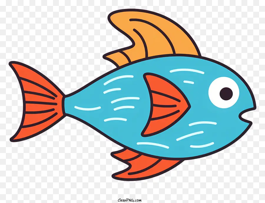 blue fish orange tail orange fins big mouth small fishes