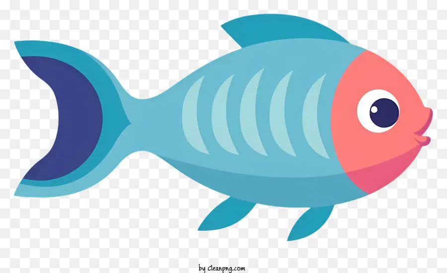 Piccolo pesce blu a bocca aperta denti Occhi marroni Grigio corpo - Piccolo pesce blu a bocca aperta e denti