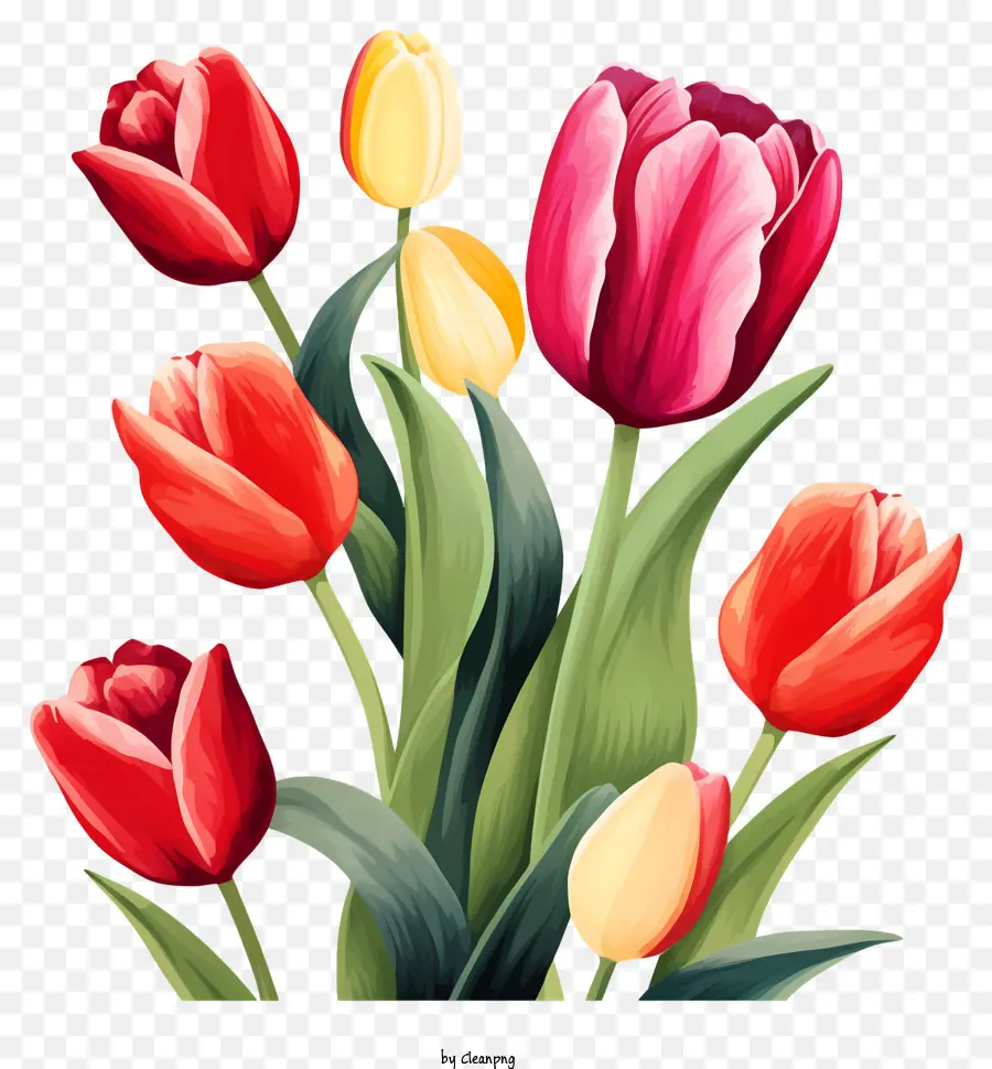 TULIPI TULIPI PINK TULIPI GIALLI VASSIONE FLORALE - Tulipani rosa e gialli realistici in vaso