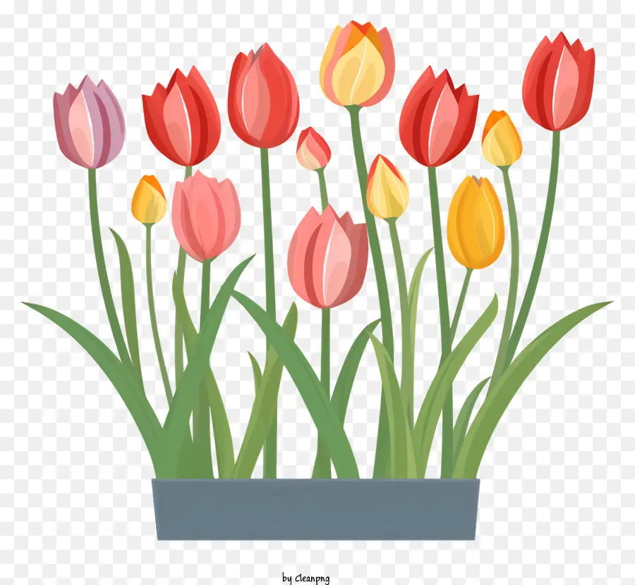 Gesteck - Farbenfrohe Tulpen in einer lebendigen Vase angeordnet