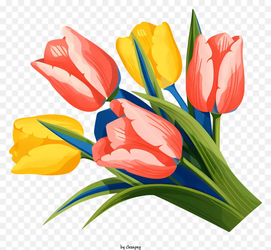 hoa mùa xuân - Bó hoa tulip màu hồng và vàng trên nền đen