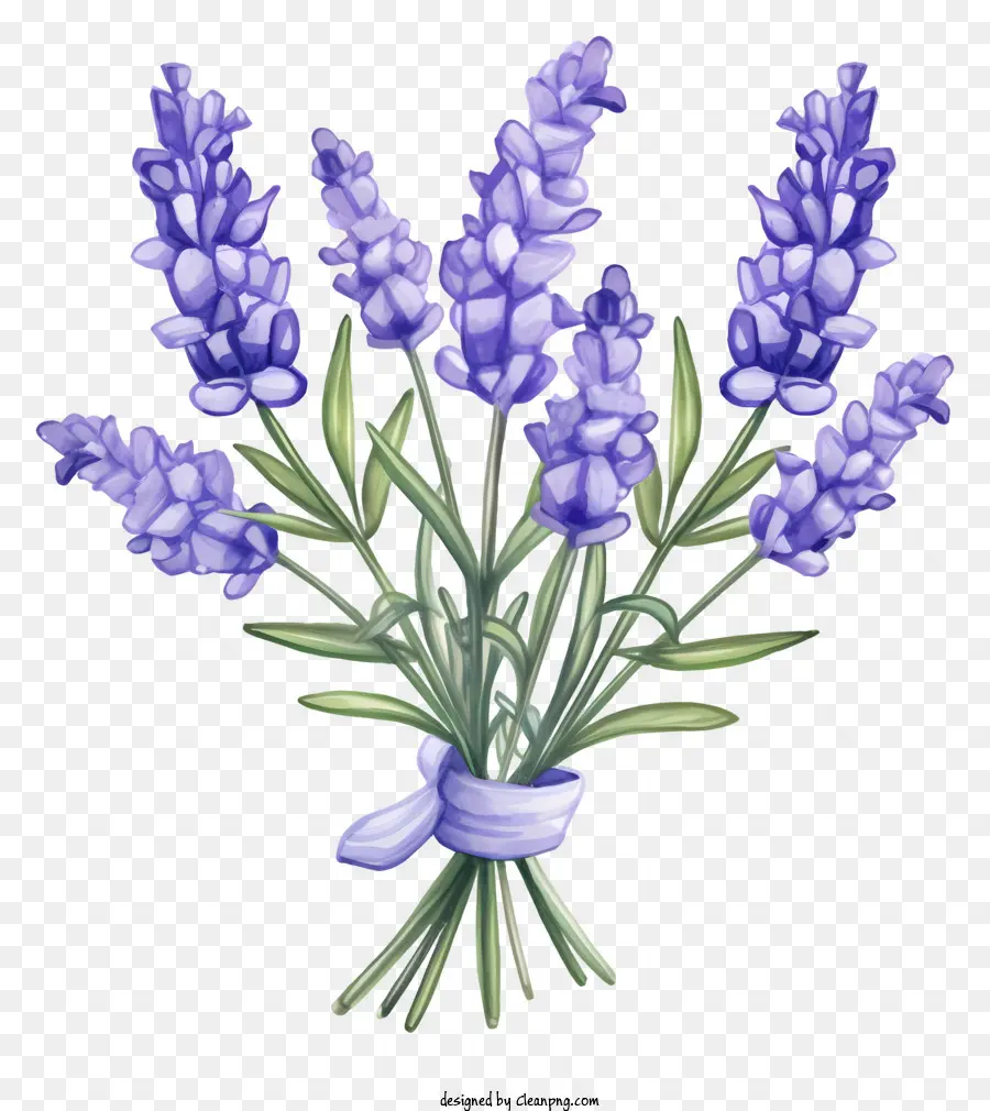 Lavendelblumen Bouquet Blue Center Grüner Stiel Lose Anordnung - Lavendelstrauß mit blauen Blumen und grünen Stielen