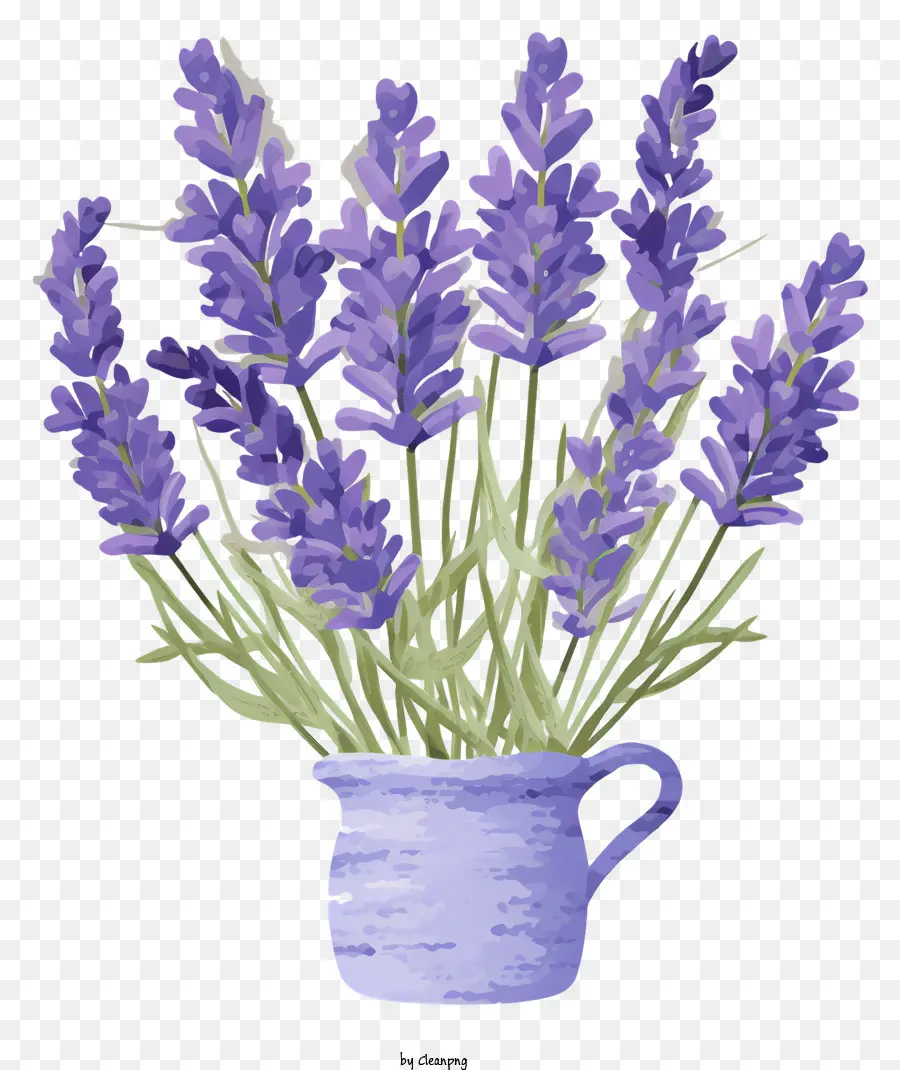weißen hintergrund - Nahaufsicht der Lavendelblumen in blauer Vase