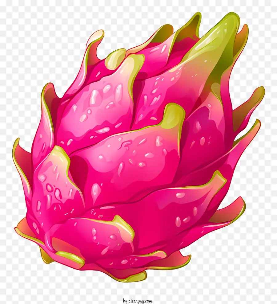 Dragon Fruit Pink Fruit Pink Fruit Dragone Frutta esotica Frutta tropicale - Frutta del drago rosa con gocce d'acqua galleggianti