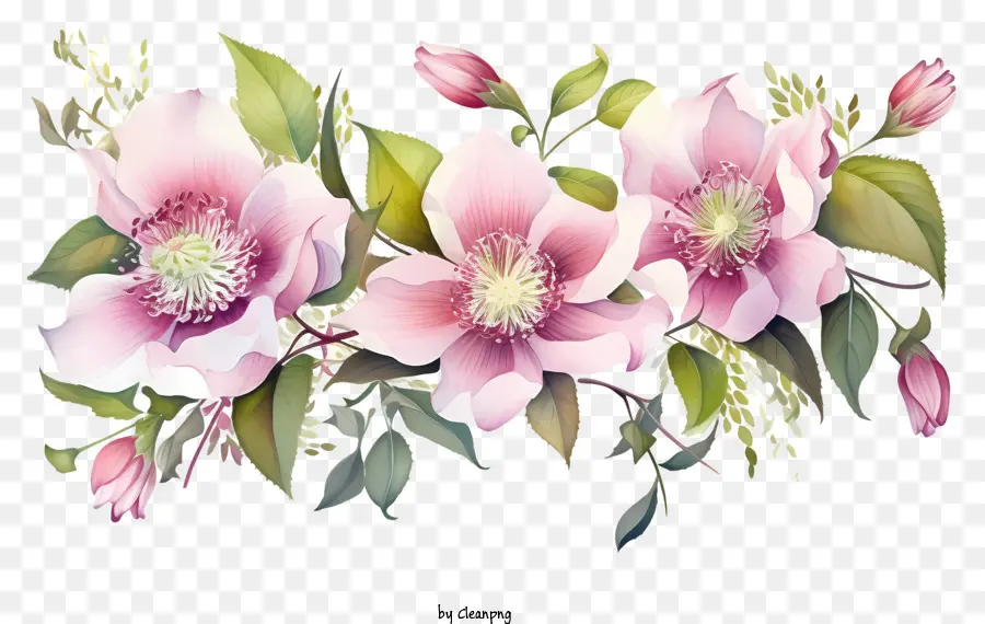 fiori rosa fiori bianchi disposizione floreale fiore piena petali delicati - Fiori rosa e bianchi in piena fioritura