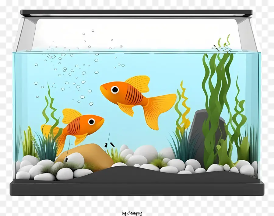 Bể cá hồ cá nước u mờ cá bể bơi màu xanh - Bể cá âm u với hai con cá cam