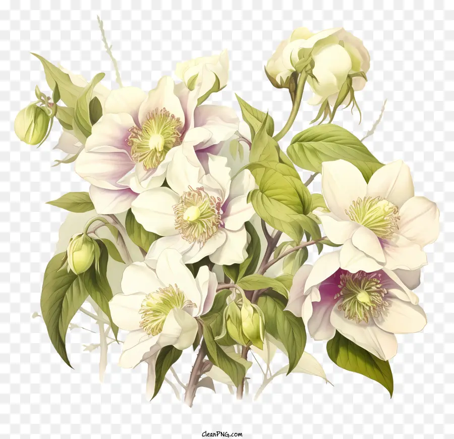 Blumenstrauß - Weiße Blüten mit grünen Blättern auf dunklem Hintergrund