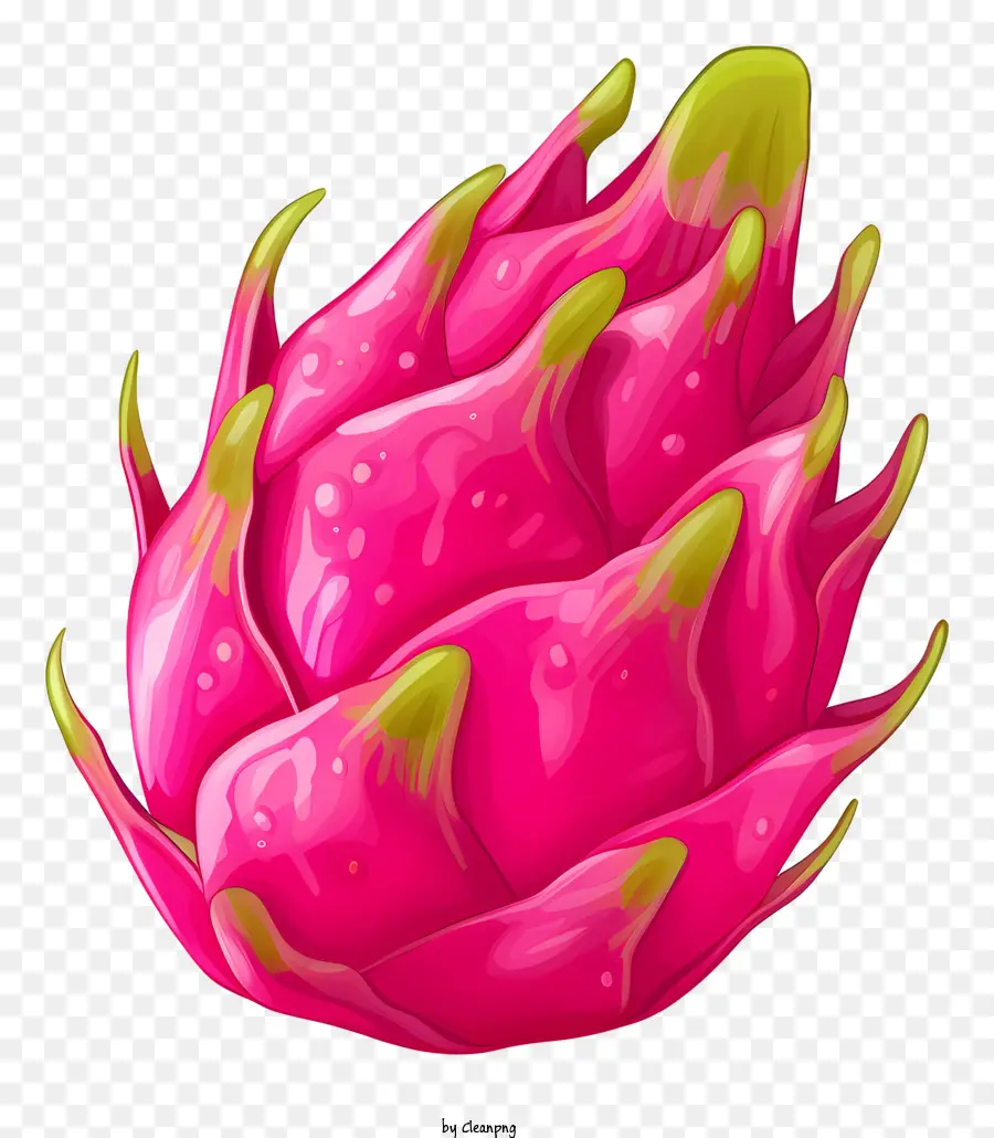 Frutta del drago rosa Frutta di grande dimensione della consistenza succulenta rotonda - Frutta del drago rosa: frutta grande e succulenta per i dessert