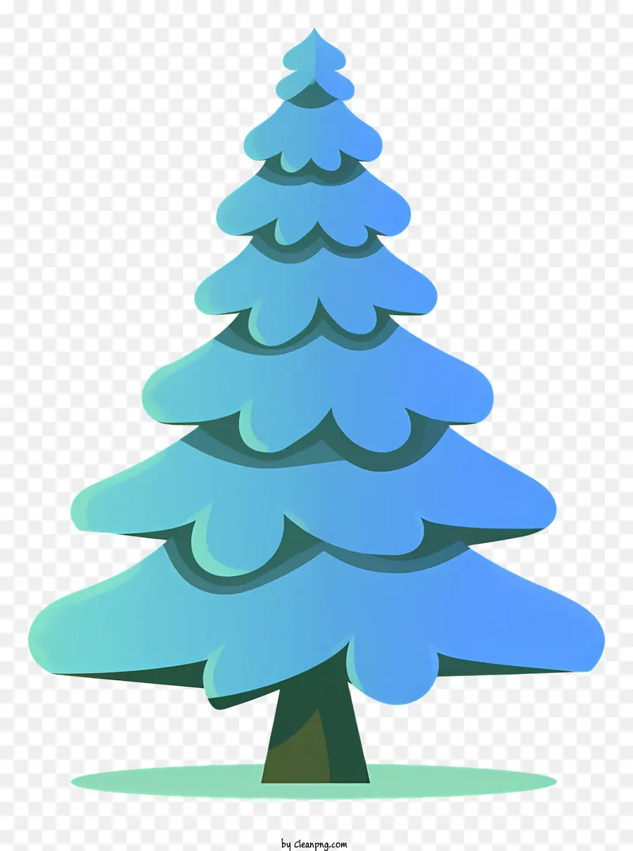 blaue Kiefernbaumknorretenzweige einsamer Baum schwarzer Hintergrund Kiefernbaum Bild - Einsame blaue Kiefernbaum mit verdrehten Ästen