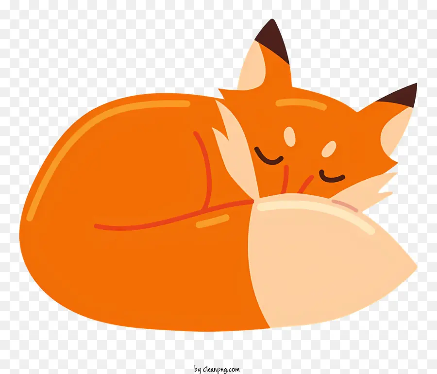 Schlaffuchs Orange Fuch - Bild des niedlichen Fuchs, der in fetaler Position schläft