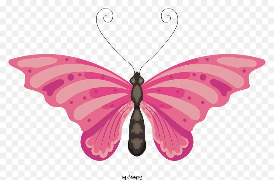 pink butterfly black body black antennae orange and black wings flapping wings
