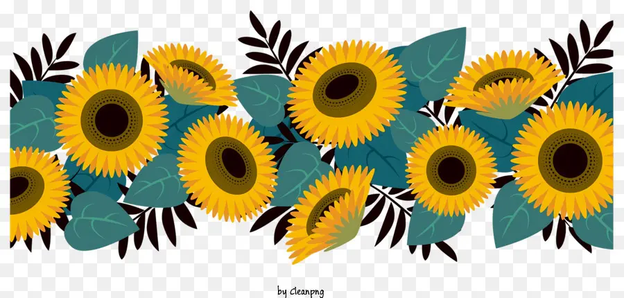 sunflowers yellow flowers bloom green leaves petals