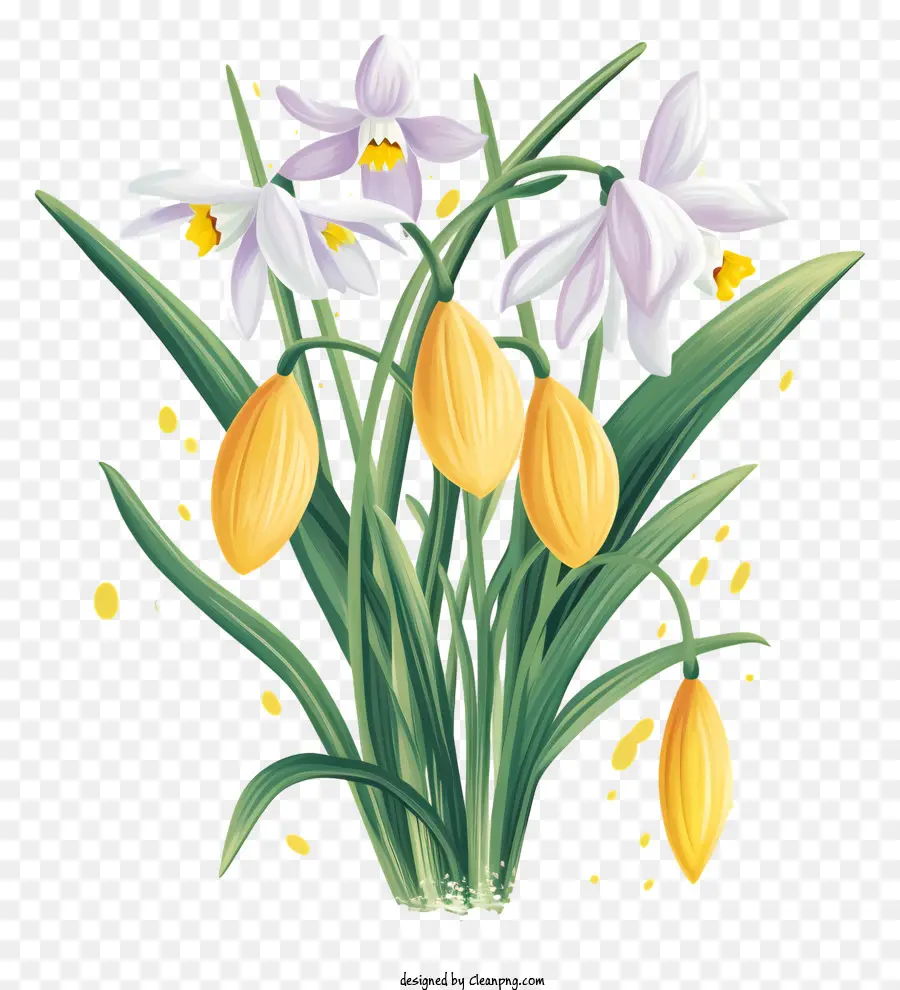 Frühlingsblumen - Frühlingsstrauß: weiße und gelbe Blüten auf Schwarz