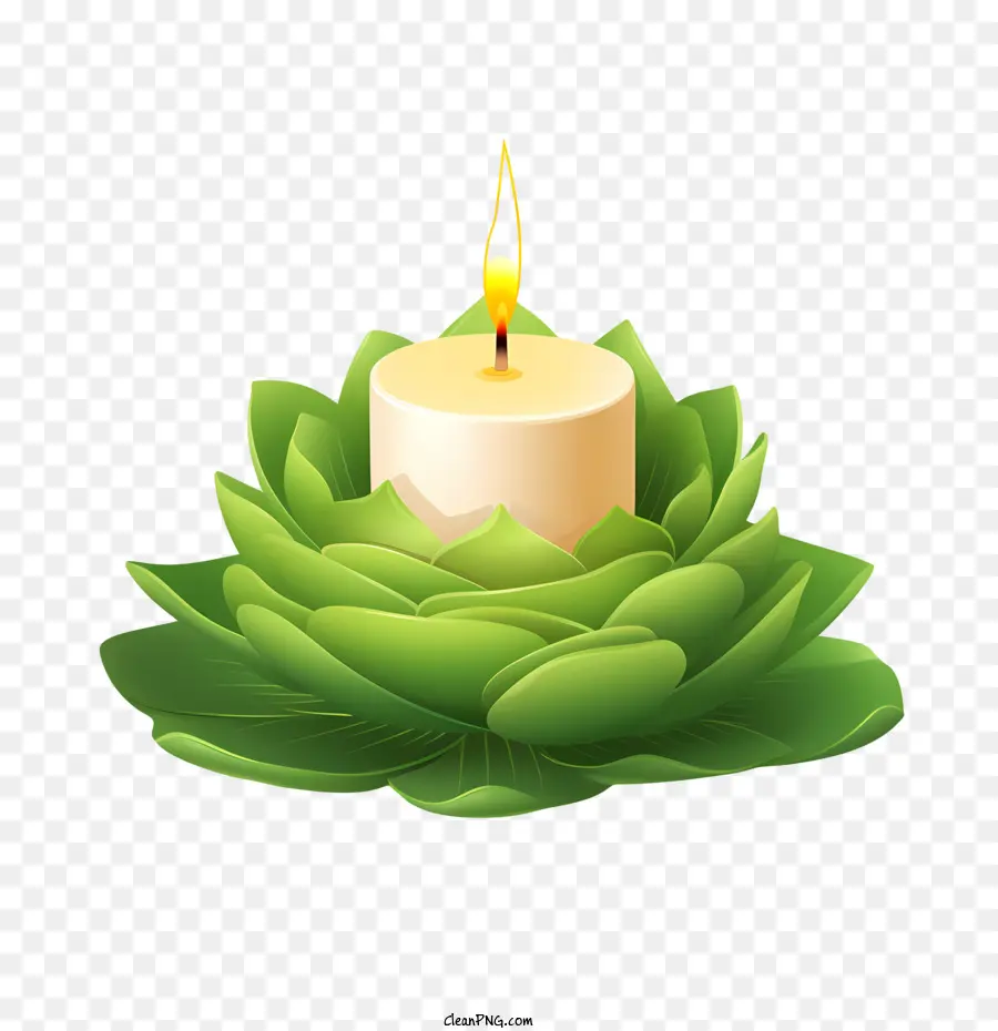 candle lotus flower flower candle lily green