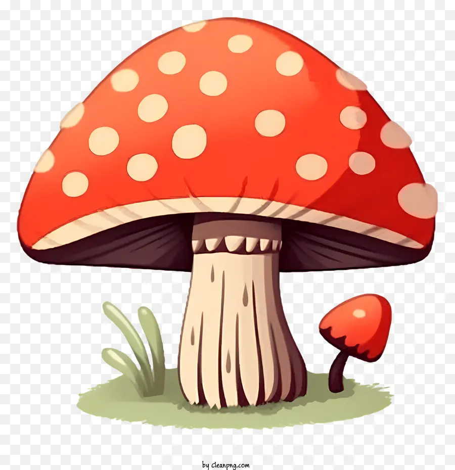 Fungo rosso funghi di funghi rossi boschetti marrone funghi - Immagine in bianco e nero di Toadstrool con funghi